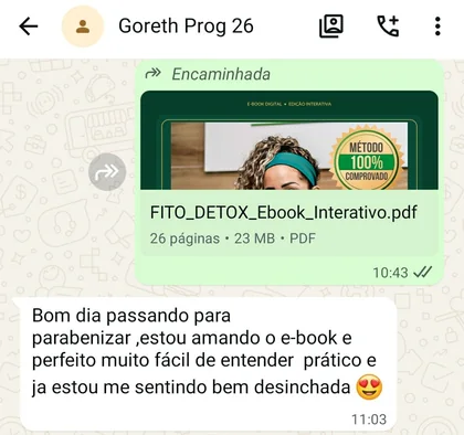Print de conversa no WhatsApp com Goreth: “Bom dia, passando para parabenizar, estou amando o e-book, é perfeito, muito fácil de entender, prático e já estou me sentindo bem desinchada.”